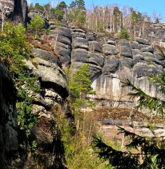 Pension Fuhrmann S Elb  Café