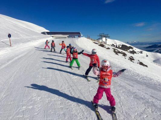 Pension Und Appartement Weinschreiber