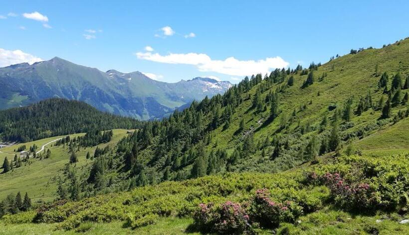 Pension Und Appartement Weinschreiber