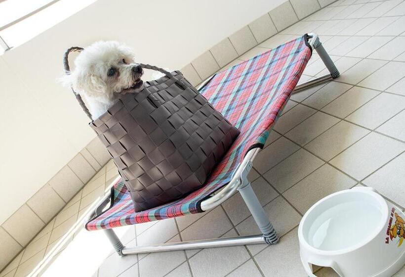 Residence Serenissima