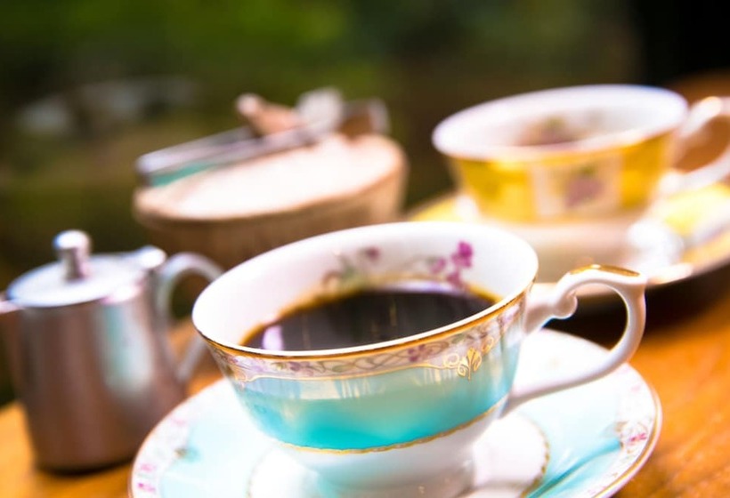 ریوکان Houshoutei