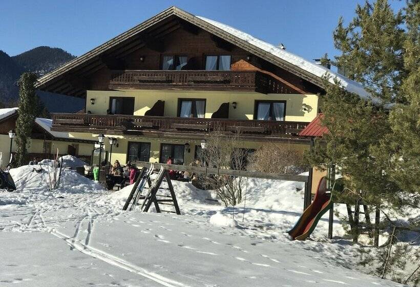 Общежитие Deva Hotel Restaurant Fischerwirt Inklusive Chiemgau Card