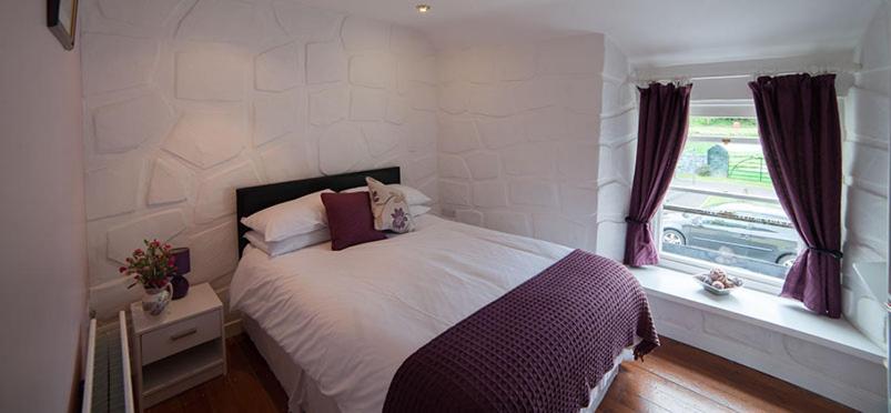 فندق صغير Finn Maccools Public House & Guest Inn