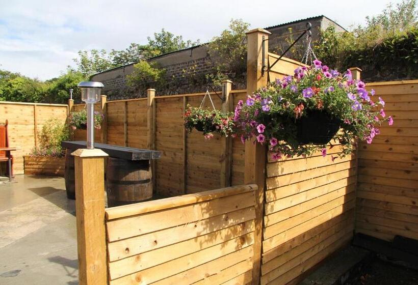 فندق صغير Finn Maccools Public House & Guest Inn