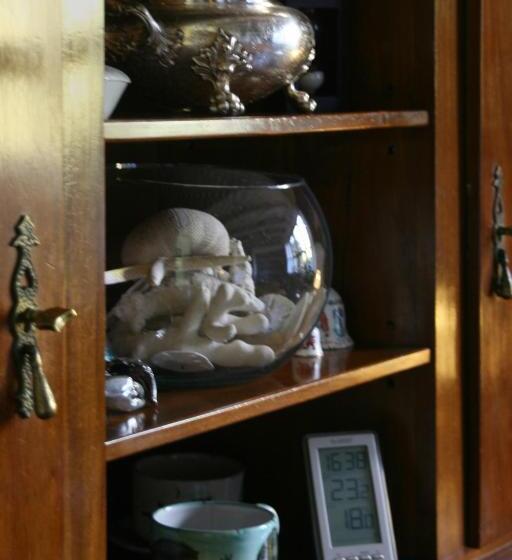 旅馆 Hostería Canela B&b