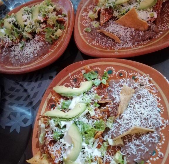 호스텔 Posada El Camino