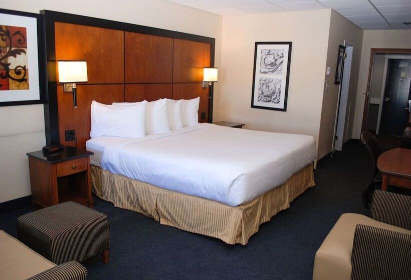 فندق صغير Rodeway Inn