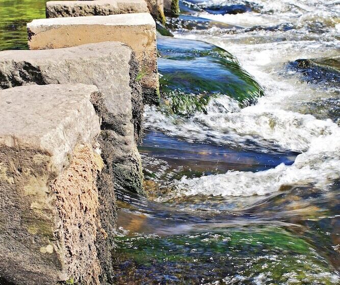 Общежитие The Wheatley Arms