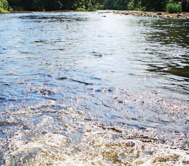 Общежитие The Wheatley Arms