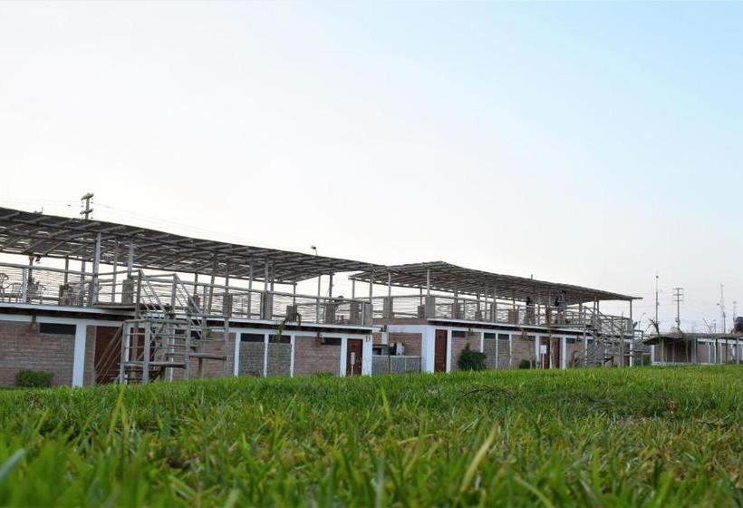 هاستل Zarcillo Paradise