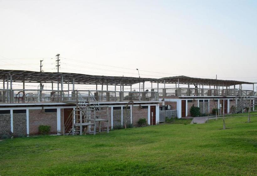 هاستل Zarcillo Paradise