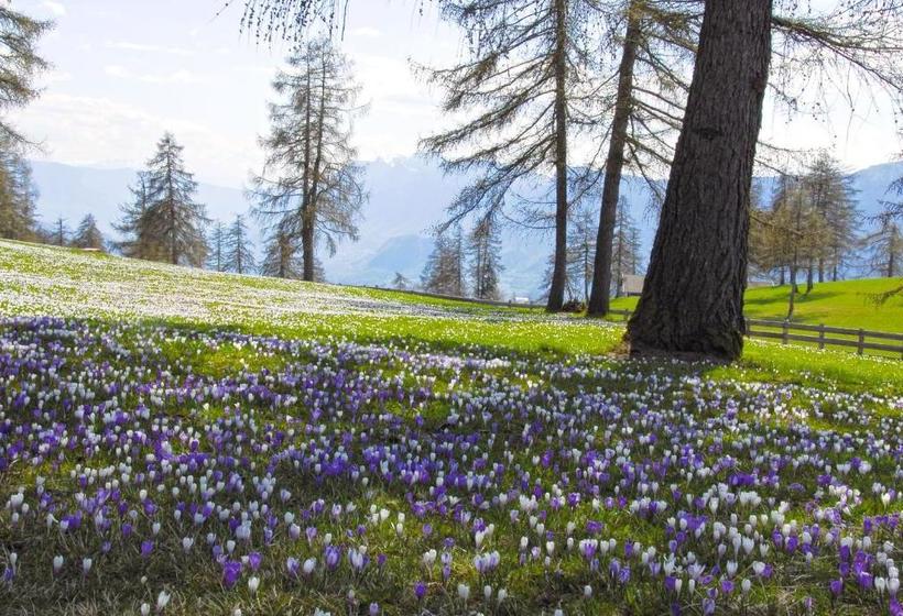 Appartements Peilerhof