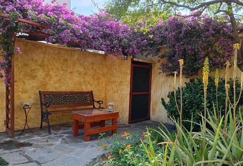 B&b Dimora Degli Ulivi