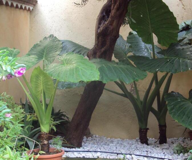 B&b Dimora Degli Ulivi