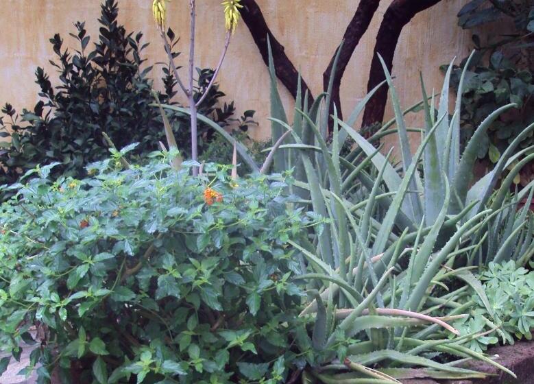 B&b Dimora Degli Ulivi