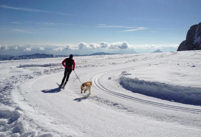 Frühstückspension Gsenger