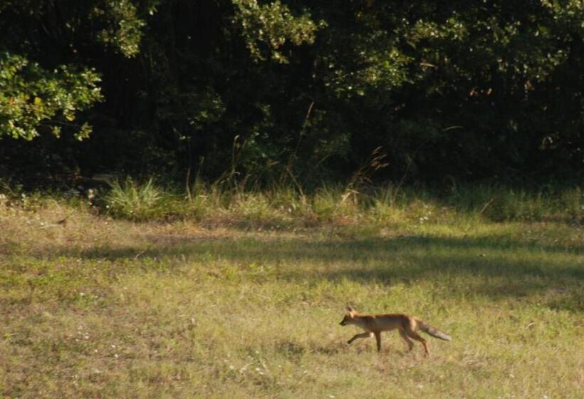ホテル Agriturismo Fontandrone