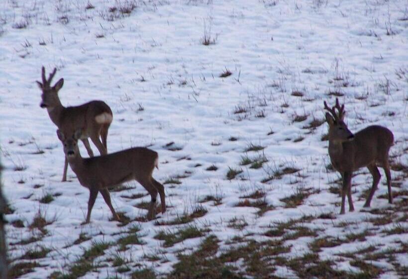ホテル Agriturismo Fontandrone