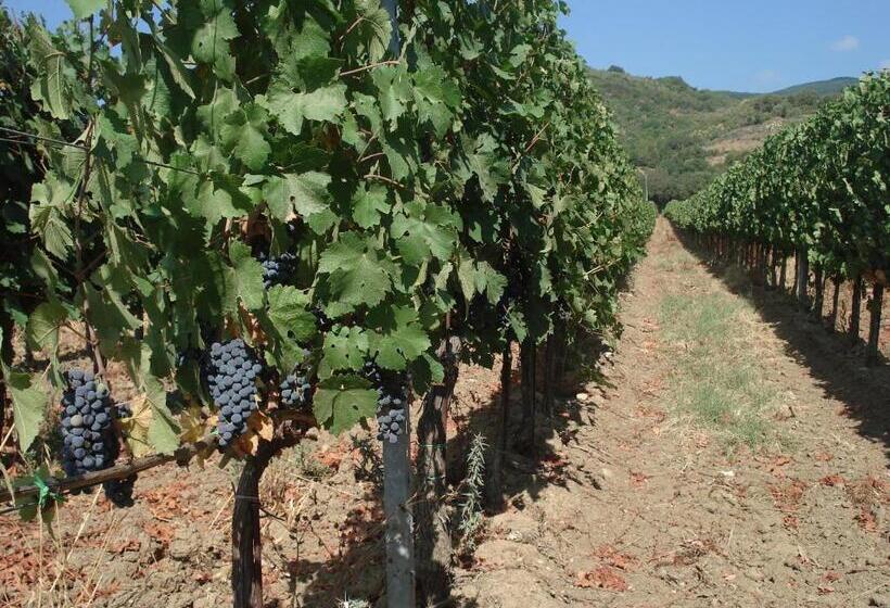 فندق Agriturismo La Fontanella & Glamping