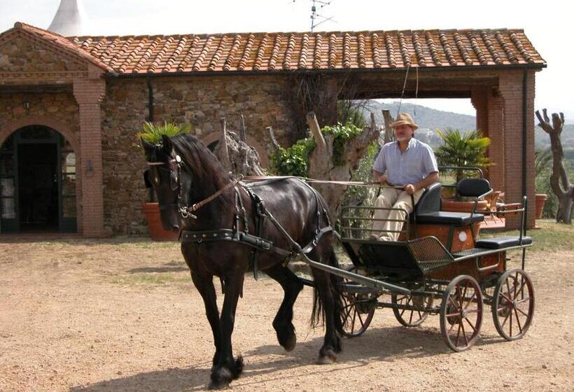 فندق Agriturismo La Fontanella & Glamping