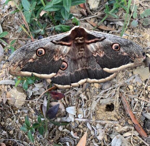 فندق Agriturismo La Fontanella & Glamping