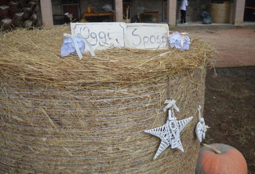 فندق Agriturismo La Fontanella & Glamping