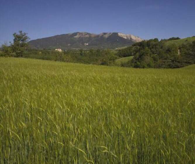 酒店 Agriturismo La Spiga D Oro