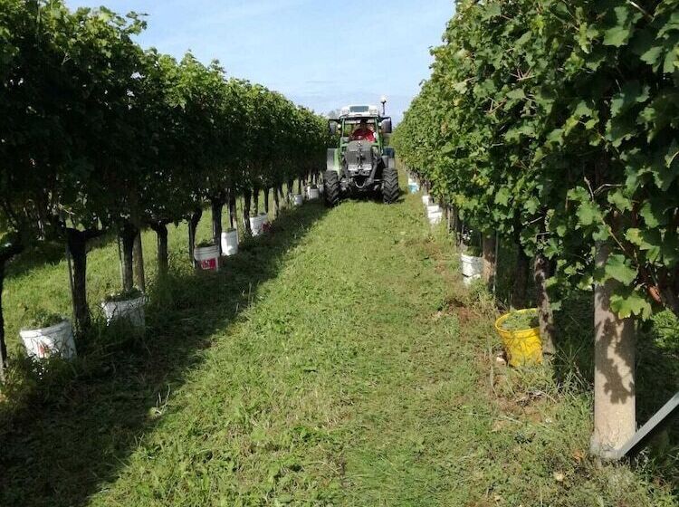 فندق Agriturismo Tonutti