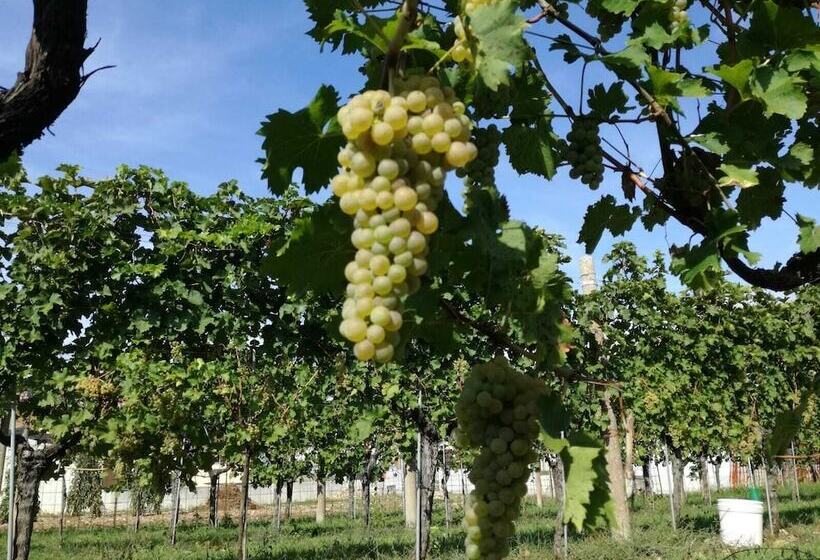 فندق Agriturismo Tonutti