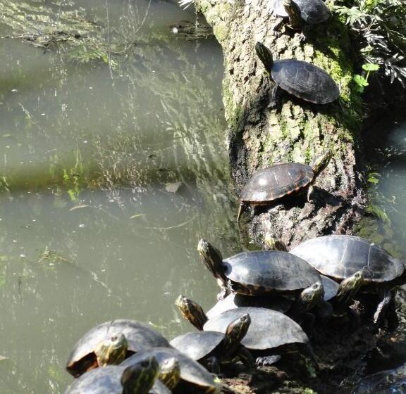 בית מלון כפרי Charqueada Santa Rita Pousada De Charme