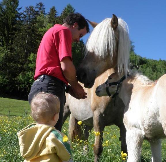 فندق Ferienhaus Zur Alten Schmiede