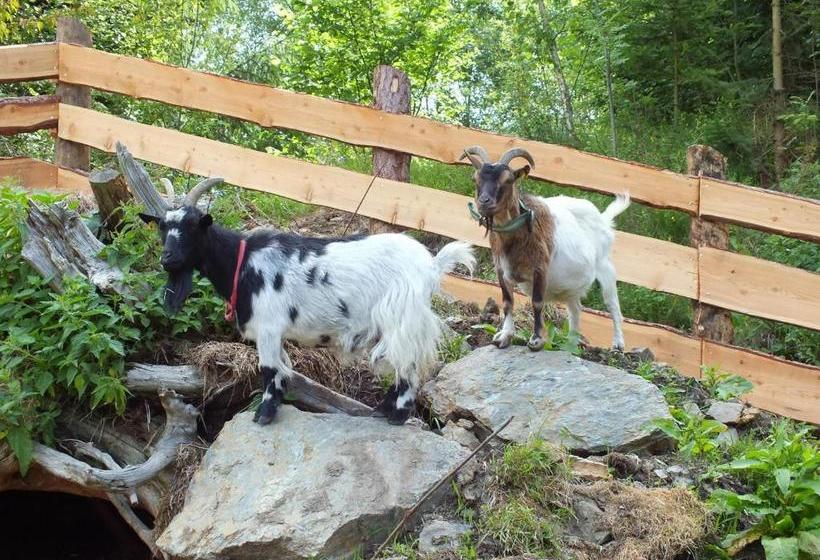 فندق Ferienhaus Zur Alten Schmiede