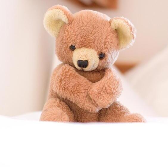 בית מלון כפרי Hattlerhof