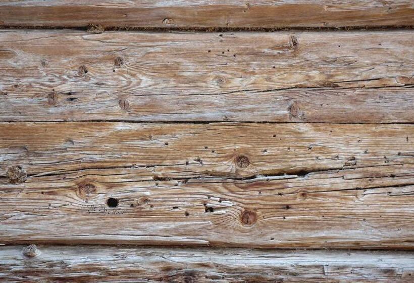 בית מלון כפרי Hattlerhof