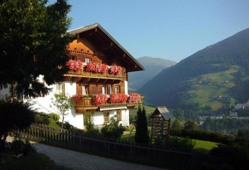 בית מלון כפרי Hattlerhof