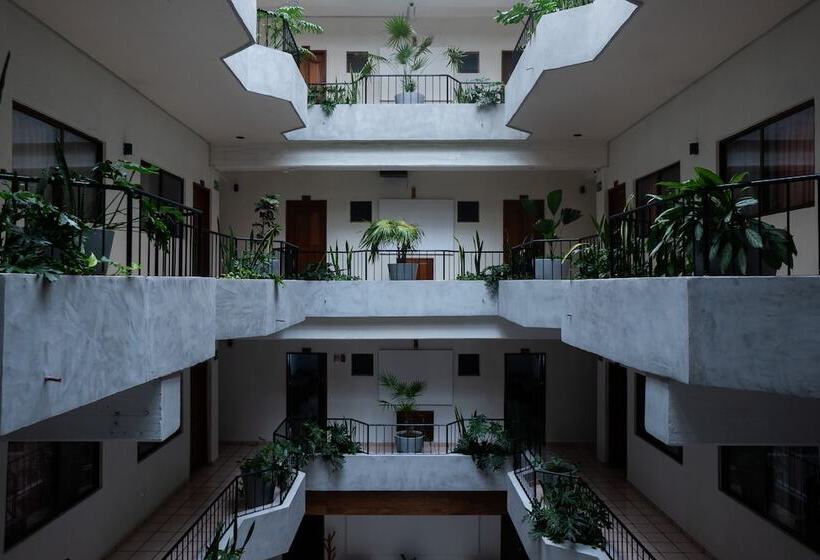 فندق Melanie Tepic