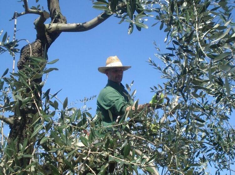 هتل Podere Delle Fanciulle