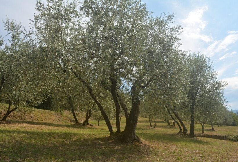 هتل Podere Delle Fanciulle