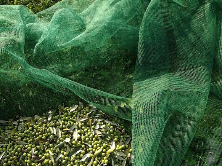 هتل Podere Delle Fanciulle