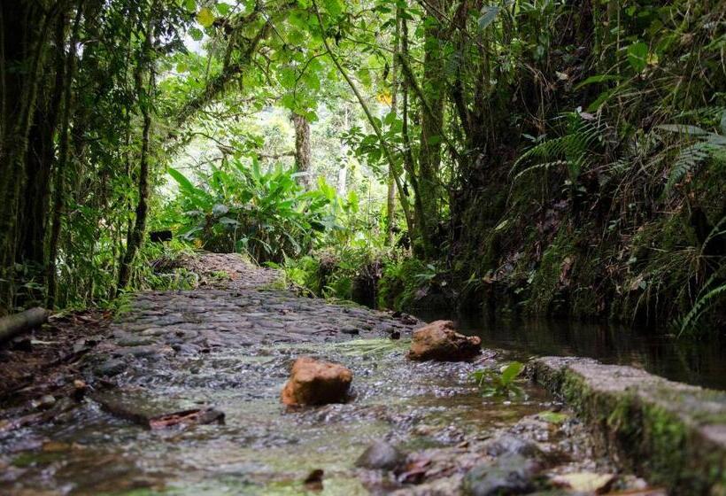 호텔 Sueños Del Bosque Lodge