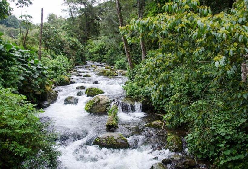 호텔 Sueños Del Bosque Lodge