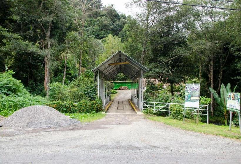 호텔 Sueños Del Bosque Lodge