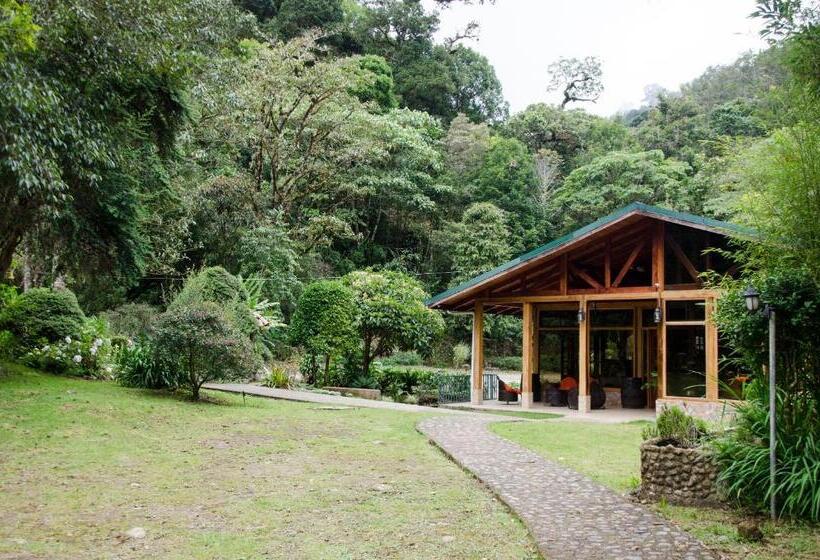 호텔 Sueños Del Bosque Lodge