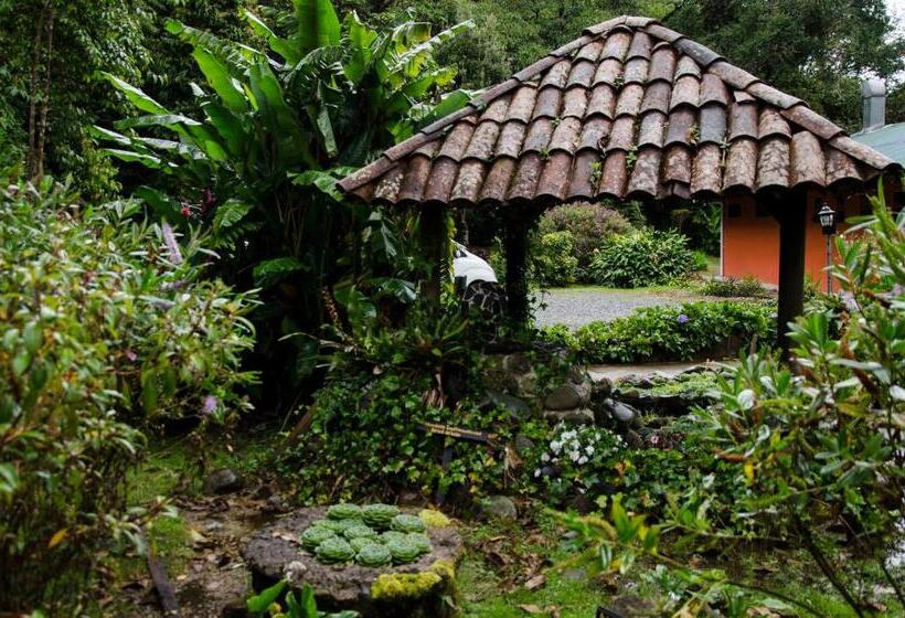 호텔 Sueños Del Bosque Lodge