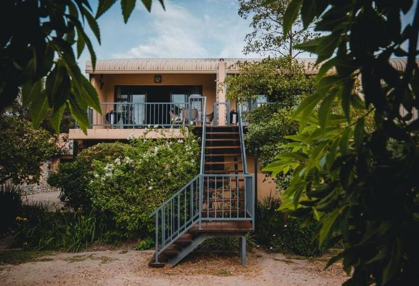 בית מלון כפרי Wildebraam Berry Estate