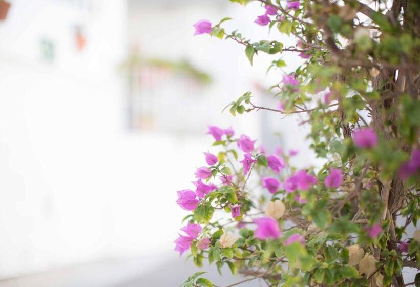 بنسيون Boutique Hotel El Olivar