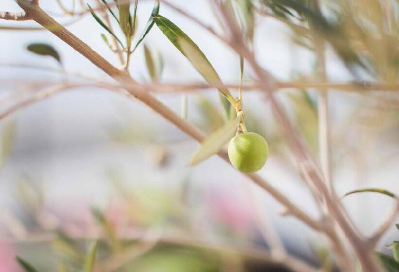 پانسیون Boutique Hotel El Olivar