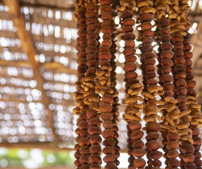 펜션 Casa Lickana B&b