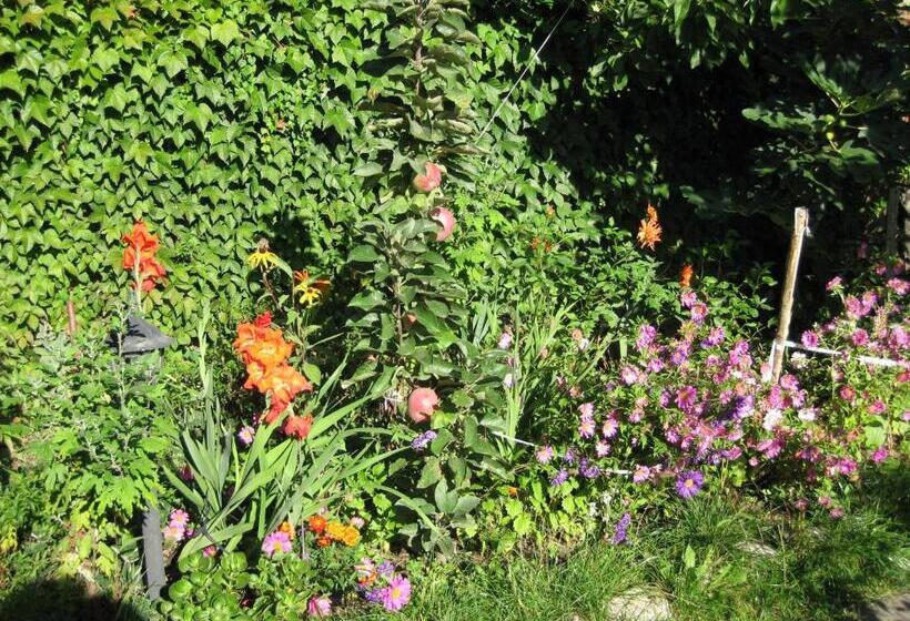 펜션 Chardaka Guest House