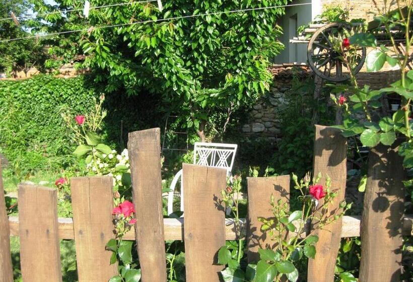 Пансион Chardaka Guest House